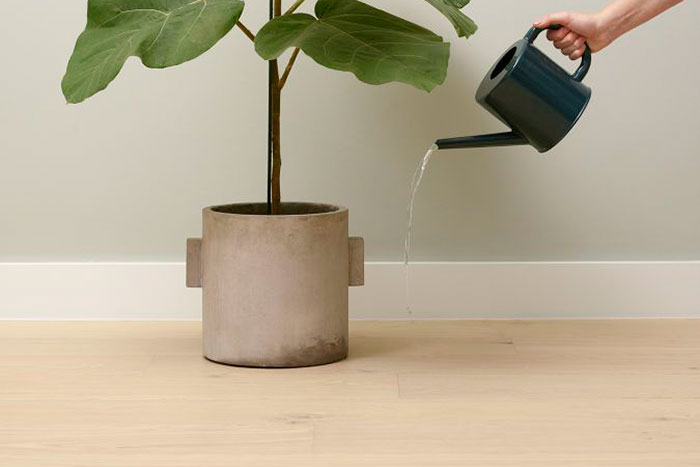 Pisos de Madera Artisan