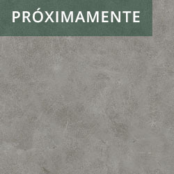 Porcelanato Century Platino